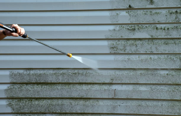 Best Soft Washing for Delicate Surfaces in Montgomery, WV
